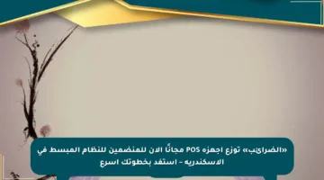 «الضرائب» توزع أجهزة POS مجانًا الآن للمنضمين للنظام المبسط في الإسكندرية – استفد بخطوتك أسرع